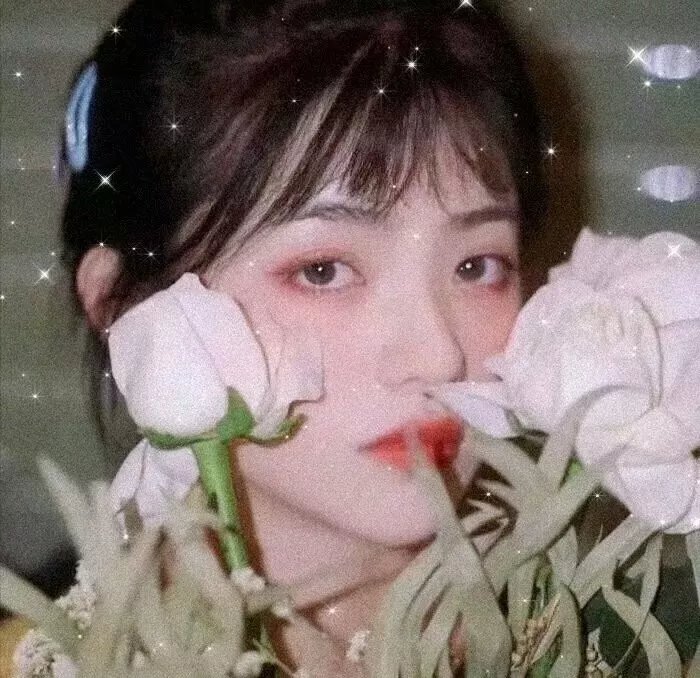 给个理由先之重回鹿鼎